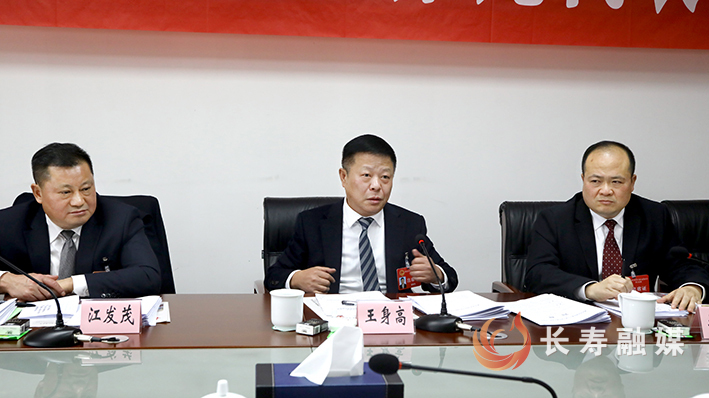 王身高参加分团审议 (3)