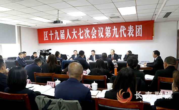 王身高参加分团审议 (1)